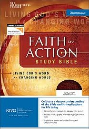 NIV FAITH