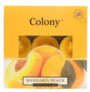 9PC MANDARIN PEACH CANDLE TEALIGHTS - 6HRS