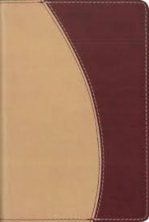 NIV-THINLINE COMPACT BIBLE-CAMEL/CRANBERRY