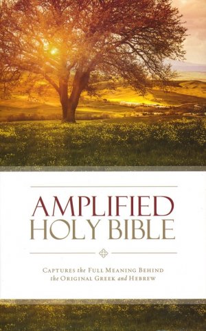 Amplified Holy Bible