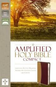 AMPLIFIED HOLY BIBLE COMPACT