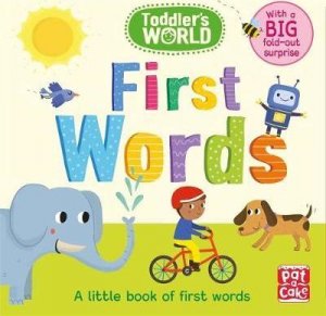 CH-A LITTLE BOOK/FIRST WORDS