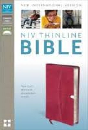 NIV Thinline Bible- RAZZLEBERRY