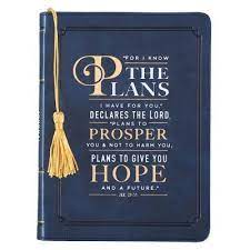 THE PLANS I HAVE FOR YOU DECLARES THE LORD. A5 JOURNAL