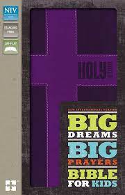 NIV Big Dreams, Big Prayers Bible for Kids