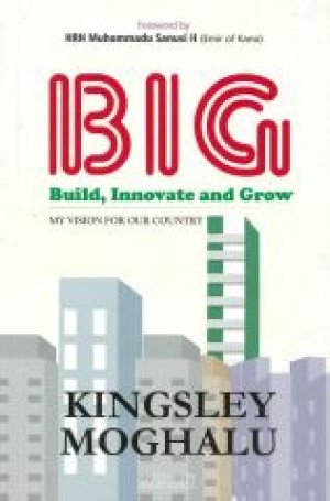 BIG BUILD, INNOVATE AND GROW