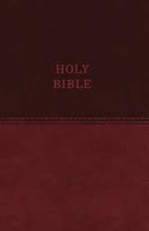 KJV VALUE THINLINE BIBLE - BROWN LEATHERSOFT