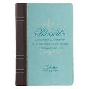 JOURNAL 241-BLESSED