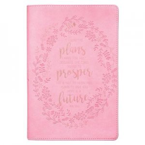 JOURNAL: I KNOW THE PLANS