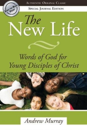 THE NEW LIFE P/C