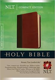 HOLY BIBLE (NLT)