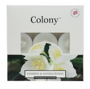 JASMINE & SANDALWOOD 9 FRAGRANCED CANDLE - up to 6hrs