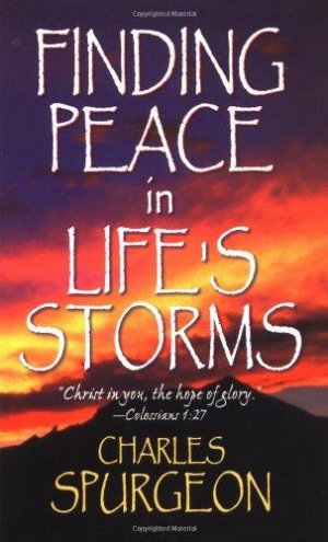 Finding Peace in Life's Storms