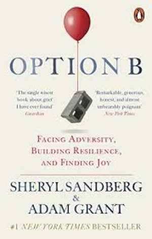 OPTION B