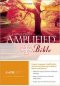 AMPLIFIED BIBLE, LARGE PRINT