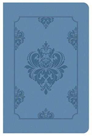 KJV DELUXE GIFT & AWARD BIBLE - LIGHT BLUE