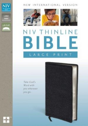 NIV Thinline Bible-  Tan/Dark Tan
