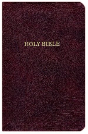 KJV THINLINE REFERENCE BIBLE