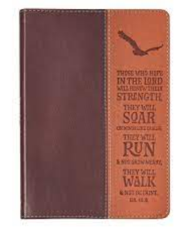 THOSE WHO HOPE IN THE LORD WILL RENEW THEIR STRENGTH THEY WILL SOAR