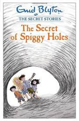 SECRET STORIES: THE SECRET OF SPIGGY HOLES