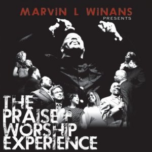The Praise + Worship Experience(CD)