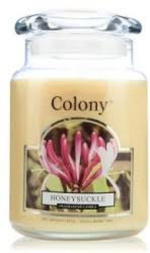 HONEY SUCKLE FRAGRANCE CANDLE - UP TO 150 HRS