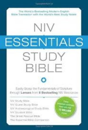 NIV ESSENTIALS STUDY BIBLE