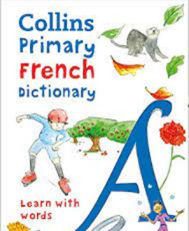 PRIMARY FRENCH DICTIONARY