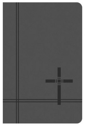 KJV DELUXE GIFT & AWARD BIBLE - GREY