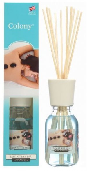 DAY AT THE SPA 50ML REED DIFFUSER