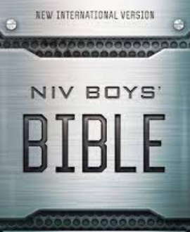 NIV BOYS BIBLE