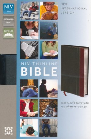 NIV Thinline Bible- Charcoal/Rich Red
