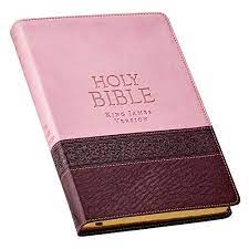 KJV- LARGE PRINT THINLN/BIBPINK