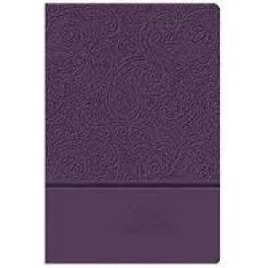 Personal Size Giant Print Reference Bible, KJV(PURPLE)
