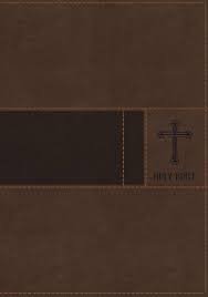 NIV GIFT BIBLE BROWN