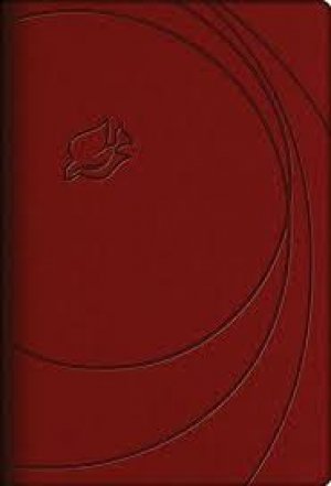 NLT-NEW SPIRIT-LIFE BIBLE LEATHER COVER