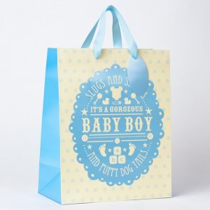 Baby Boy Large Gift bag