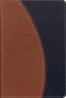 NIV Compact Thinline Bible