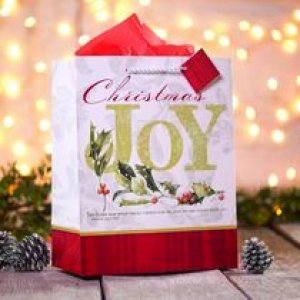 Marjolein Bastin Joy (Large)