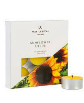 SUNFLOWER FIELDS