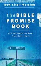 New life verson; the Bible PROMISE BOOK