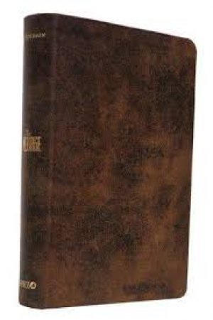 THE MESSAGE BIBLE,BROWN