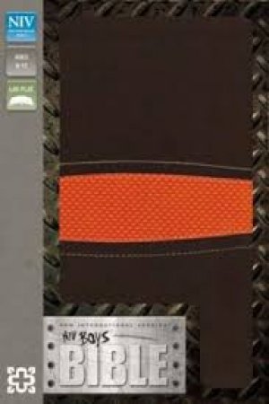 NIV-BOYS BIBLE. BROWN/ORANGE