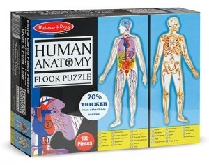 HUMAN ANATOMY (FLOOR PUZZLE)