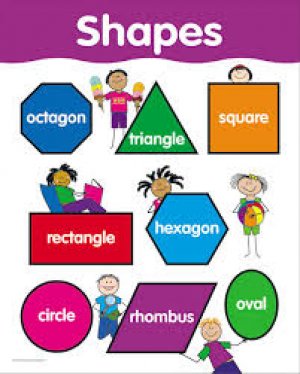 CHART- SHAPES
