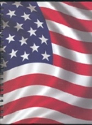 STARS AND STRIPES,LARGE