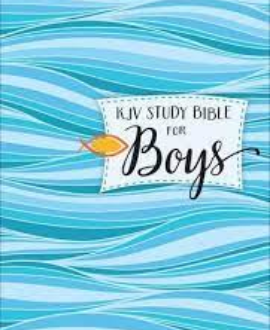 KJV STUDY BIBLE FOR BOYS