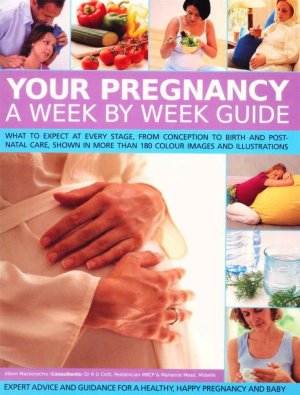 YOUR PREGNANCY, PAPER COVER