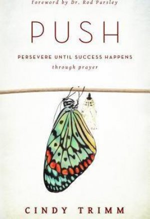 PUSH: Persevere Until Success Happens Through Prayer