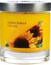 SUNFLOWER FIELDS